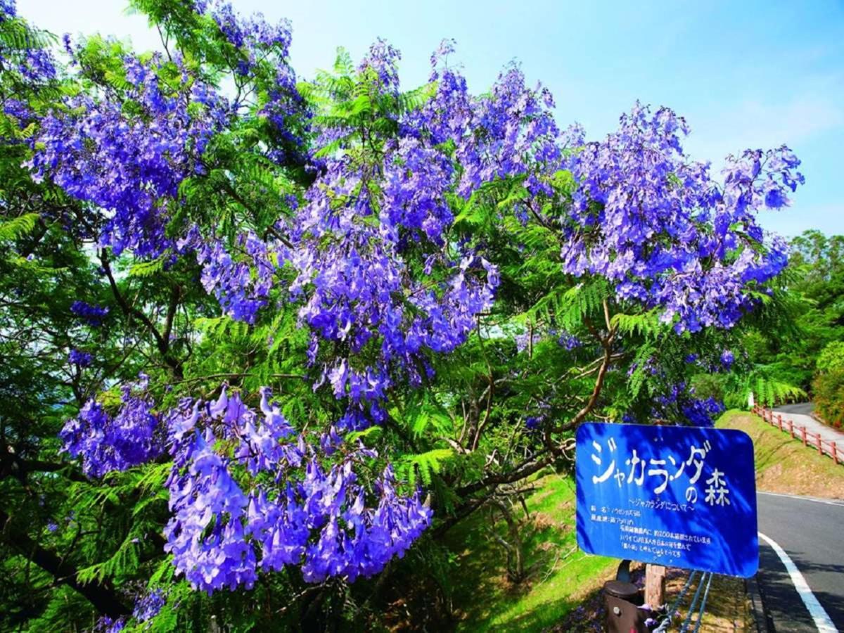 日南海岸南乡王子酒店 外观 照片